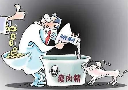 β-受體激動劑：畜牧業的“隱形毒藥”與人類健康的威脅